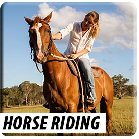 Horse Riding Mary Valley